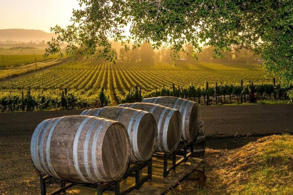 The Container Retreat @ 290 Wine Trail #9 Get Away Today! Hye Екстериор снимка